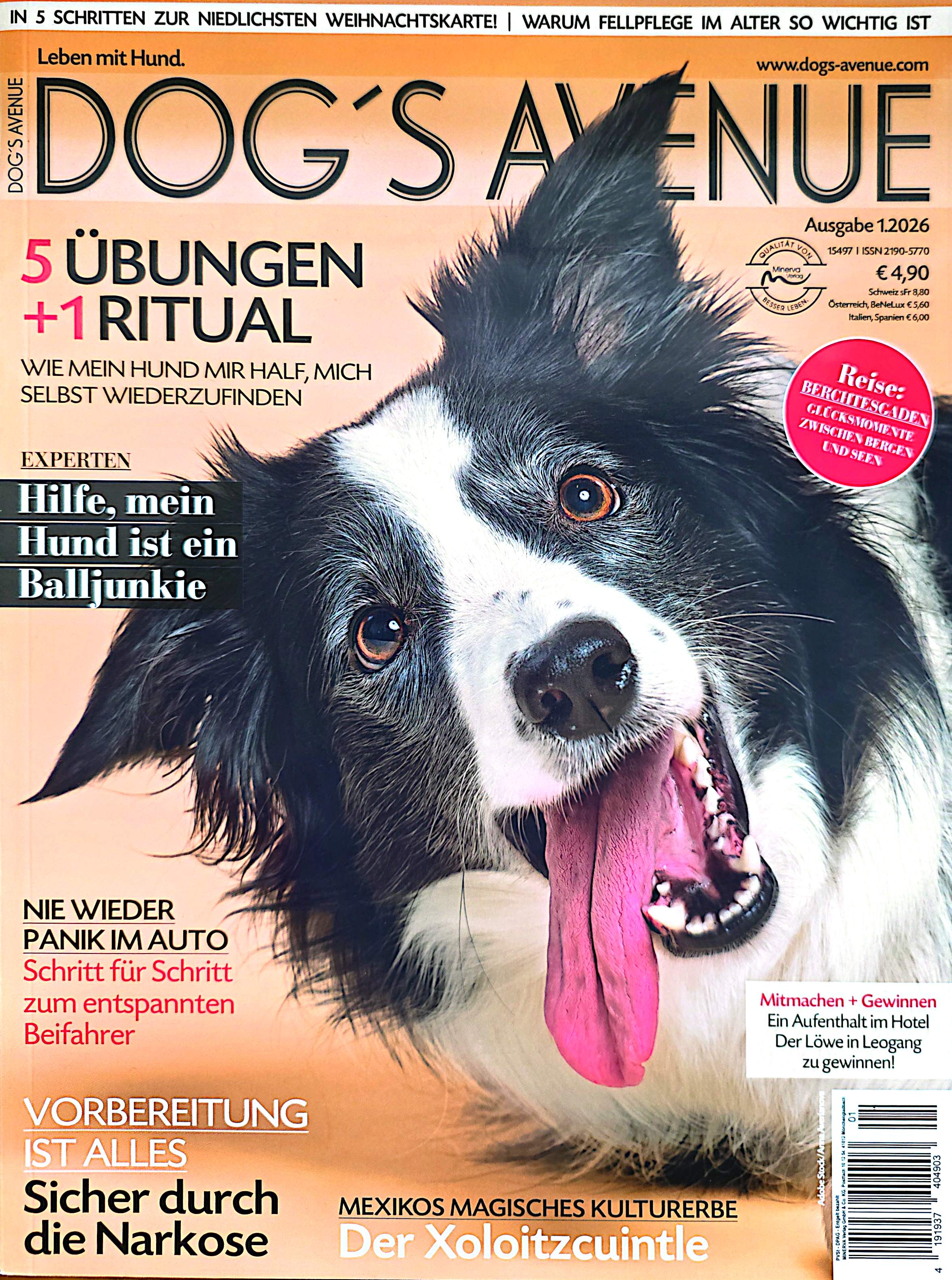 Hundeschule Nürnberg Fürth Erlangen