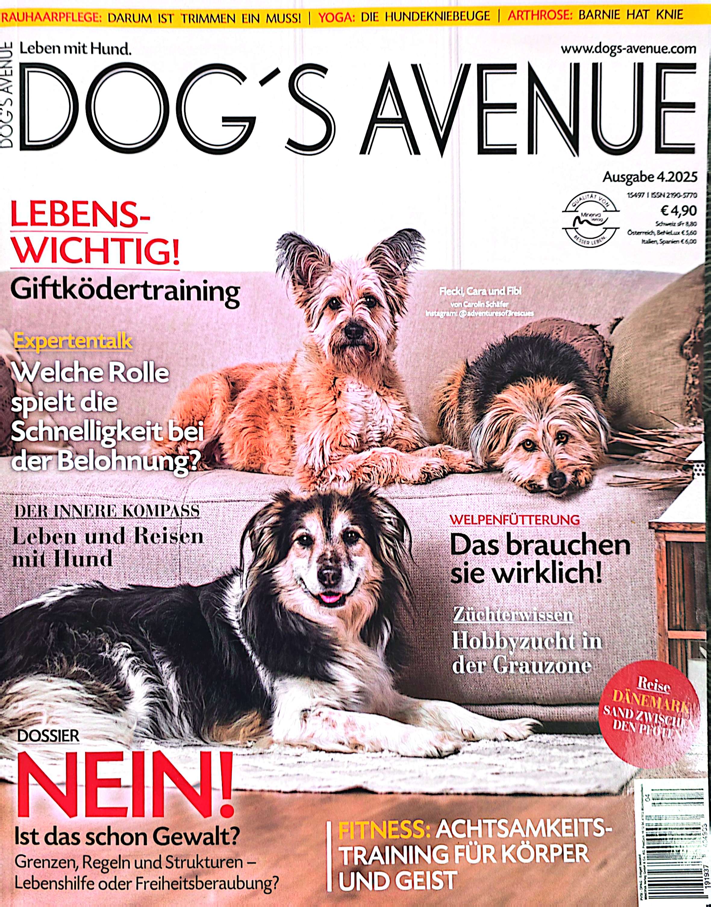 Hundeschule Nürnberg Fürth Erlangen