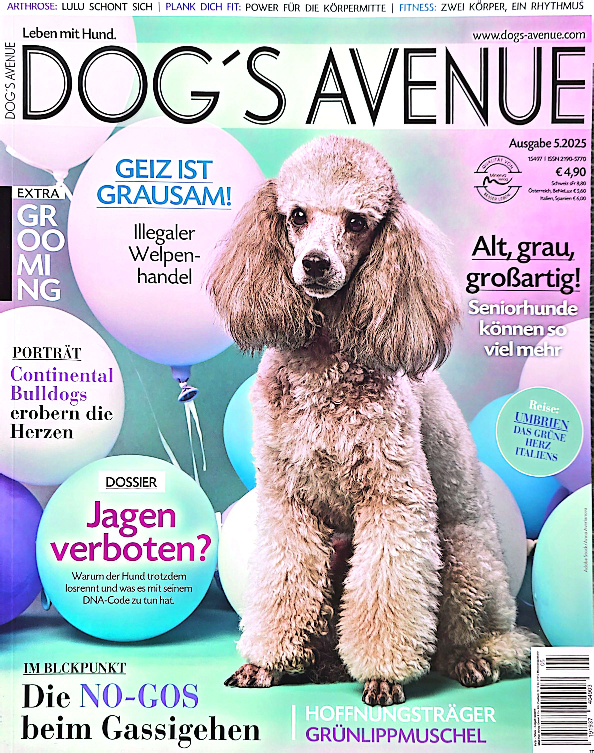 Hundeschule Nürnberg Fürth Erlangen