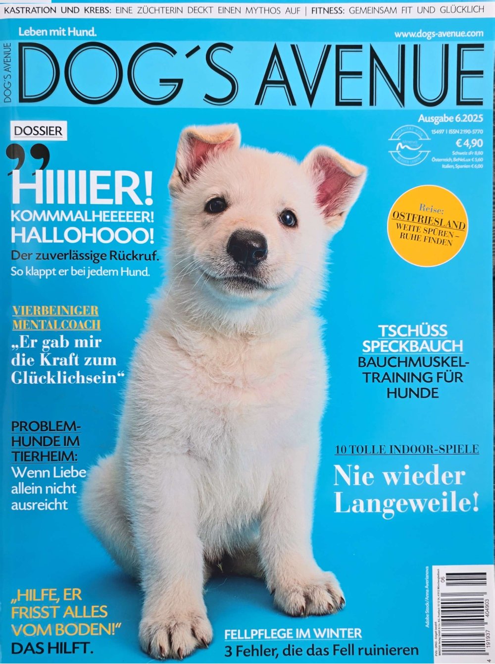 Hundeschule Nürnberg Fürth Erlangen