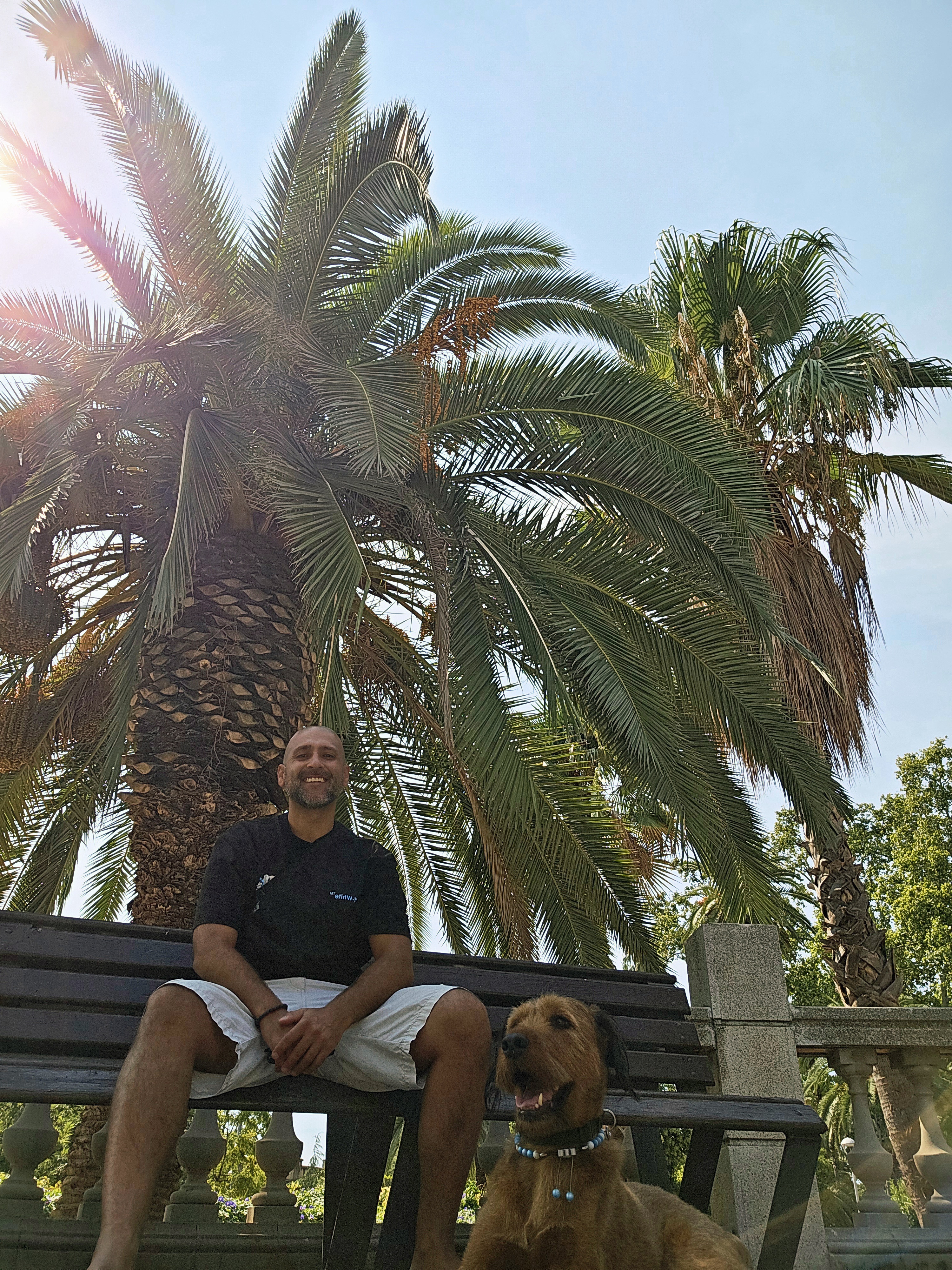 Hundetrainer Nürnberg