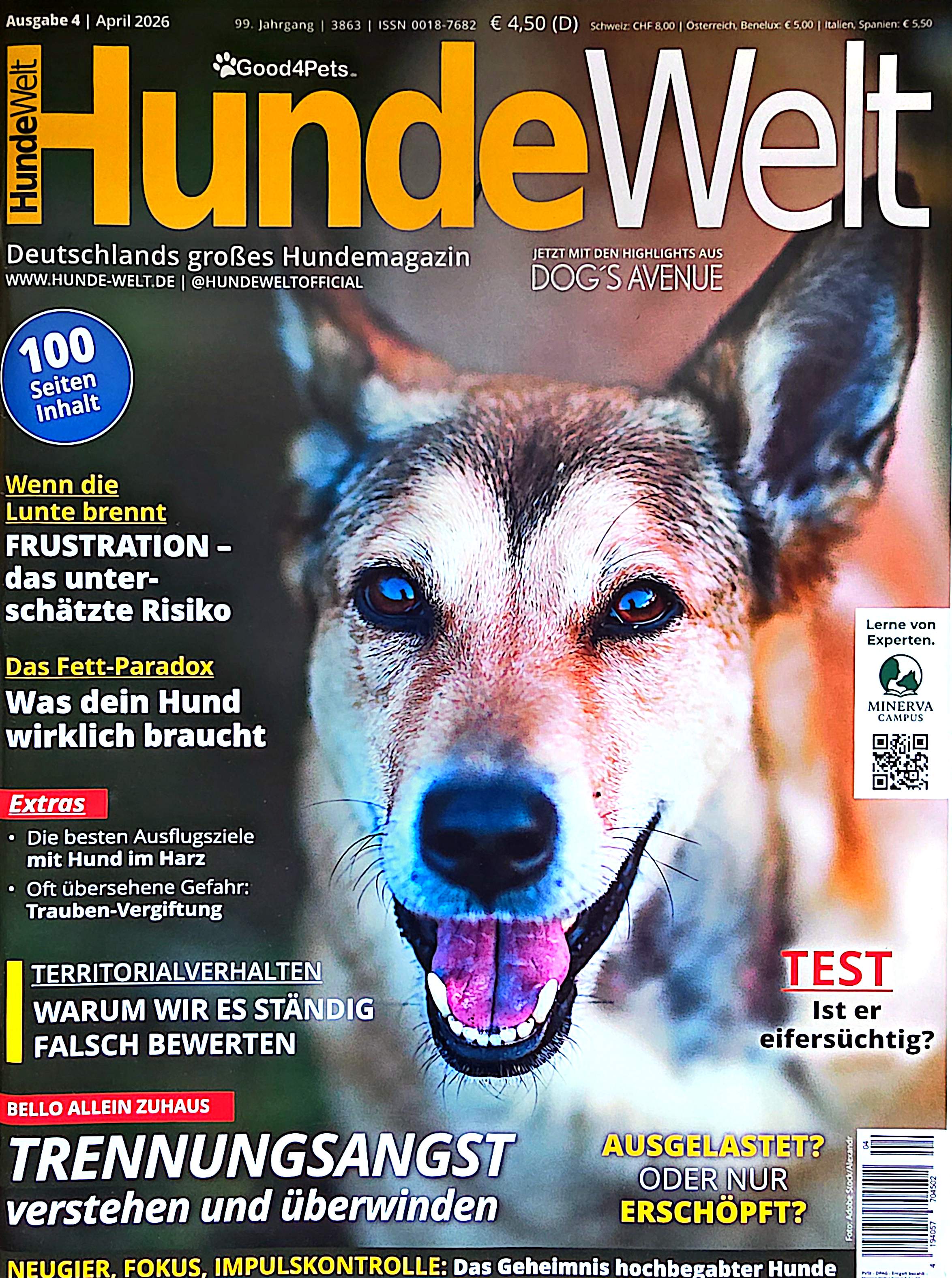 Hundeschule Nürnberg Fürth Erlangen