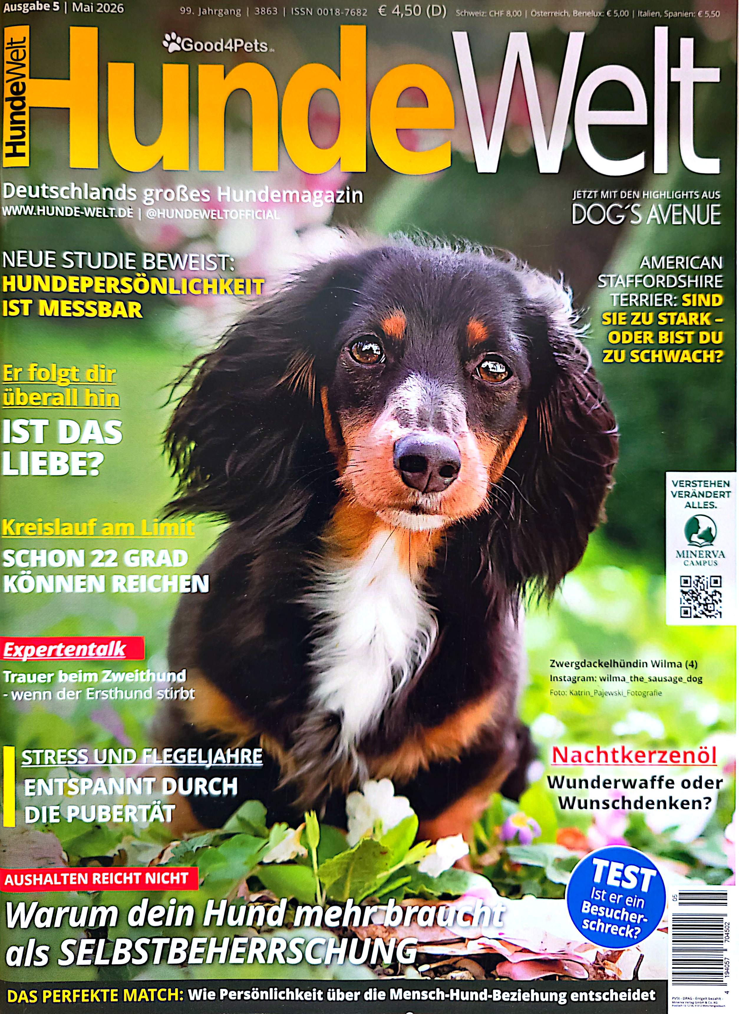 Hundeschule Nürnberg Fürth Erlangen