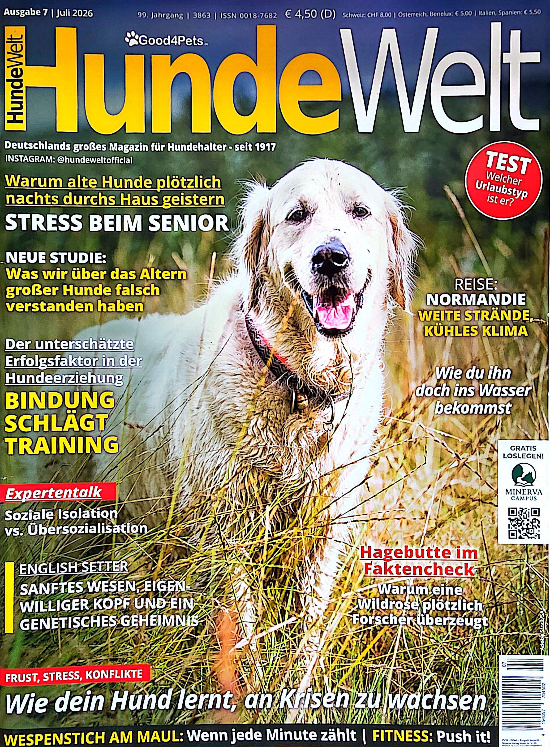 Hundeschule Nürnberg Fürth Erlangen